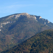 Tlstá v jesennom ...