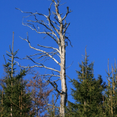 Skončil svoju púť