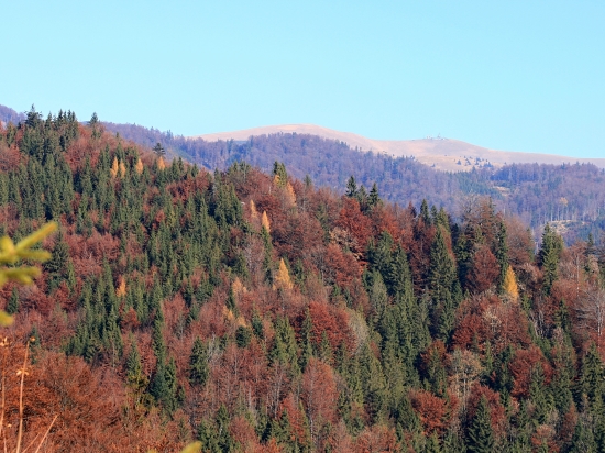 Farebná mozaika