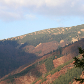 Obrázok z jesennej Fatry 3