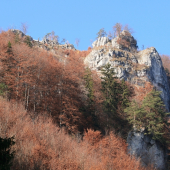 Obrázok z jesennej Fatry 4