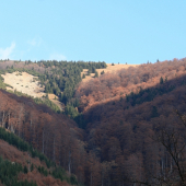 Obrázok z jesennej Fatry 5