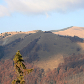 Obrázok z jesennej Fatry 7