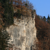 Obrázok z jesennej Fatry 10