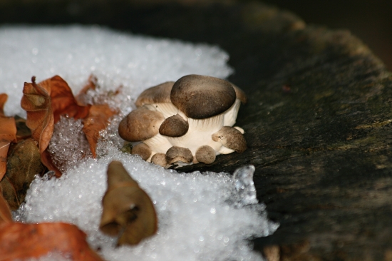 Zdá sa, že sa opozdila