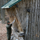 Mrnkova vynáška krmiva