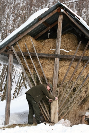Dopĺňanie poživne