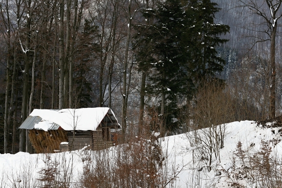 Útočisko v období núdze
