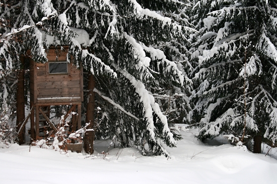 Pod bielou nádielkou