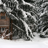 Pod bielou nádielkou