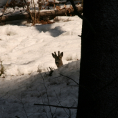Pohoda na zimnom slniečku