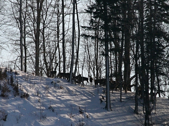 Z hrebeňa na hrebeň