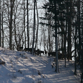 Z hrebeňa na hrebeň