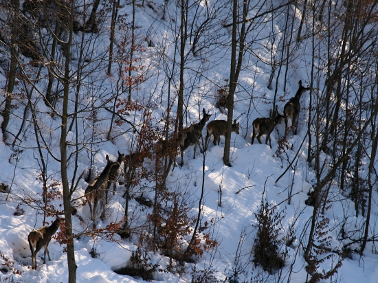 Pekne v rade za sebou...