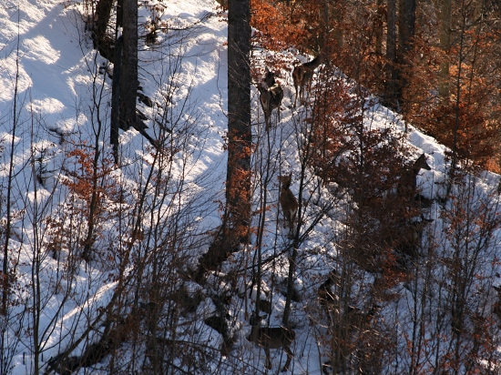 Nebezpečie číha z každej strany