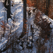 Nebezpečie číha z každej strany