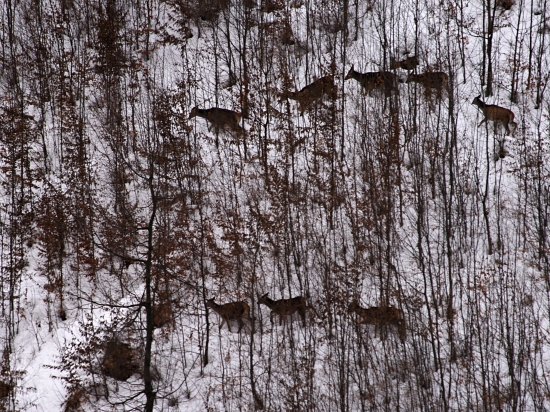 Pod ochranou mladiny