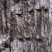 Pod ochranou mladiny