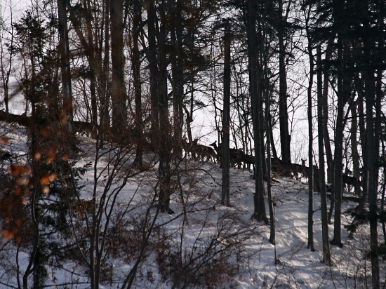 Bolo ich požehnane.
