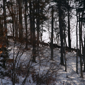 Bolo ich požehnane.