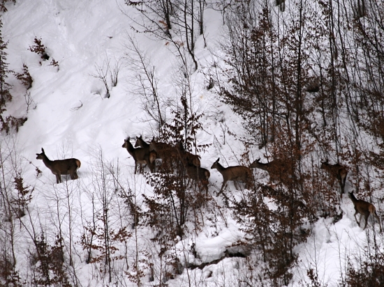 Treba sa správne rozhodnúť