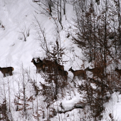 Treba sa správne rozhodnúť