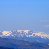 Hole Krížnej sa zbavujú bielej periny