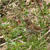 Starosť o potomstvo