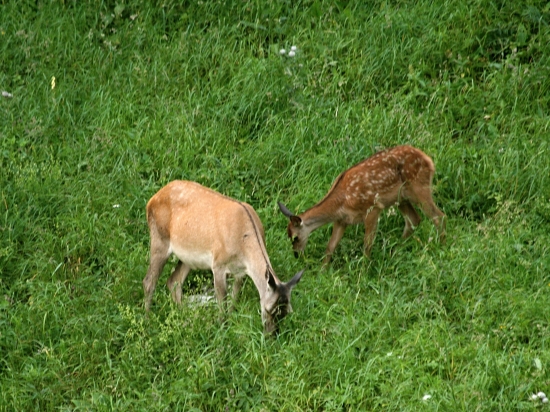 Spolu s mamou