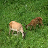 Spolu s mamou