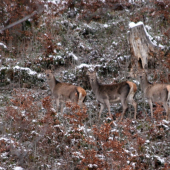 Pohľad do objektívu