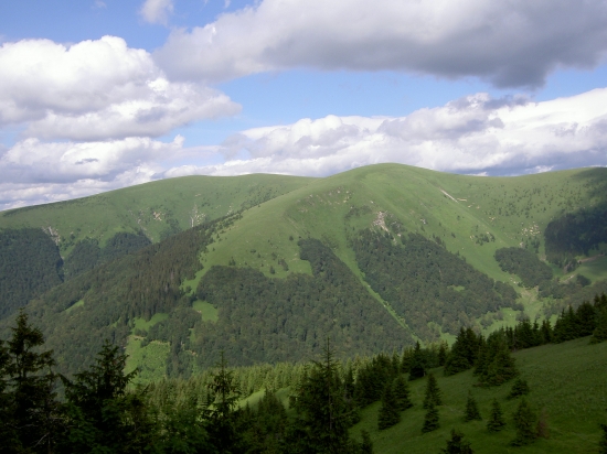 Pohľad, ktorý poteší