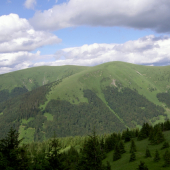 Pohľad, ktorý poteší