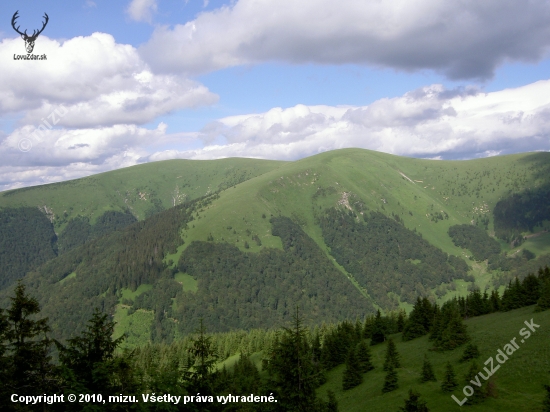 Pohľad, ktorý poteší