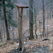 Soľník