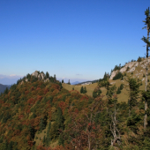Farebné kulisy jelenej ruje
