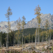 Tatranskí mohykáni