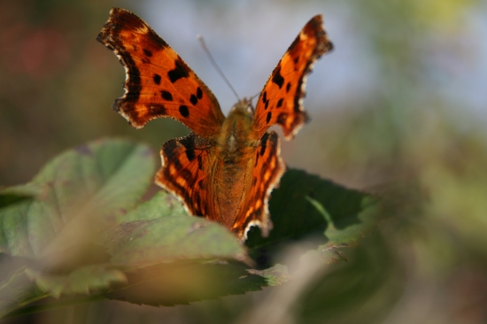 Hrej slniečko, ešte hrej