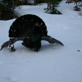 Keď má fotograf problémy 2