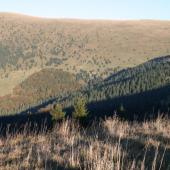 Hra svetla s tieňom