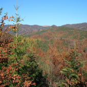 V. Fatra žiariaca farbami