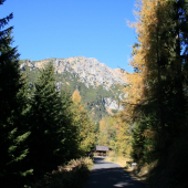 Cestou na Popradské pleso