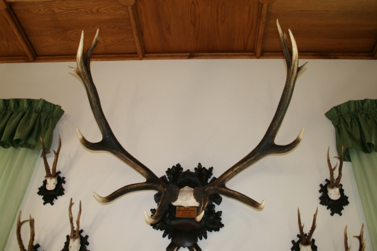 Trofej neznámeho strelca