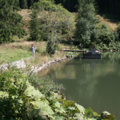 Tajch na Čiernom Váhu