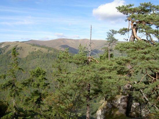 Pohľad na Krížnu