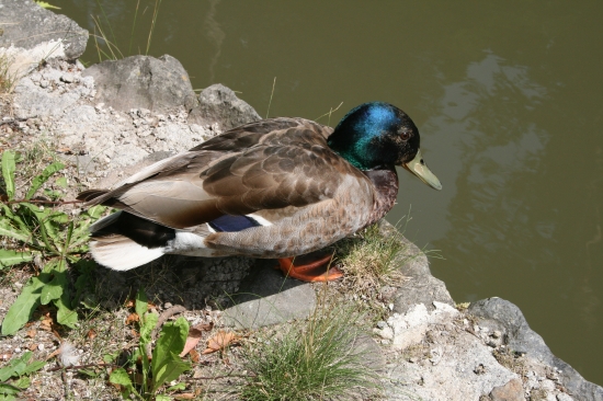 Na slniečku