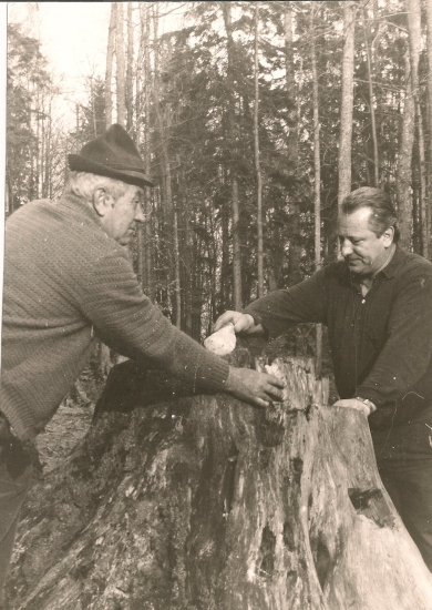 Starí jágri pri soľníku