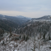 Zima ohlásila príchod