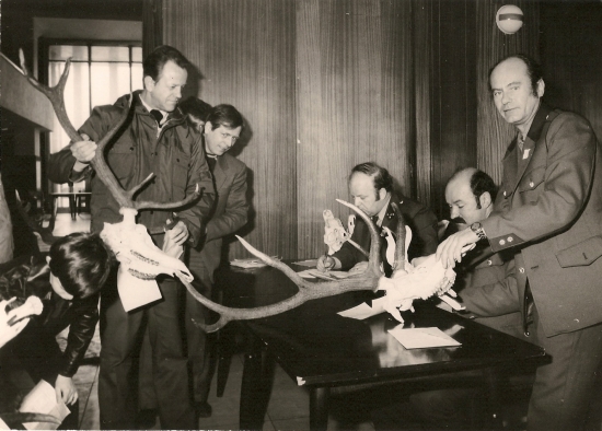 Príprava chovateľskej prehliadky