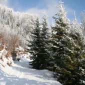 Zo zimnej prechádzky
